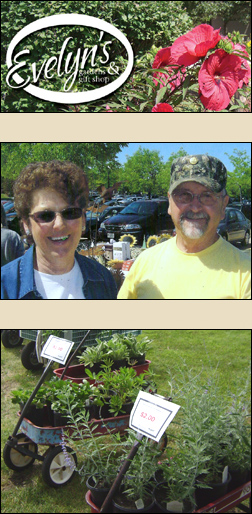 Evelyn's Gardens and Gifts