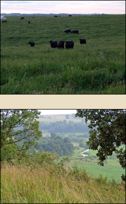 Marr's Valley View Farms