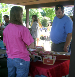 Mineral Point Market
