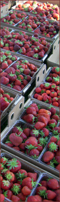 Strawberries